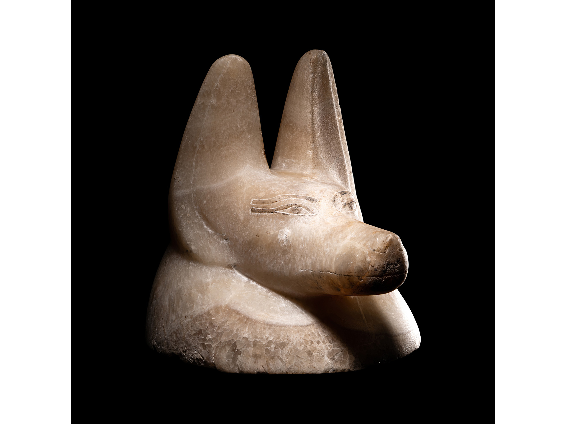 Alabaster Head of a Jackal