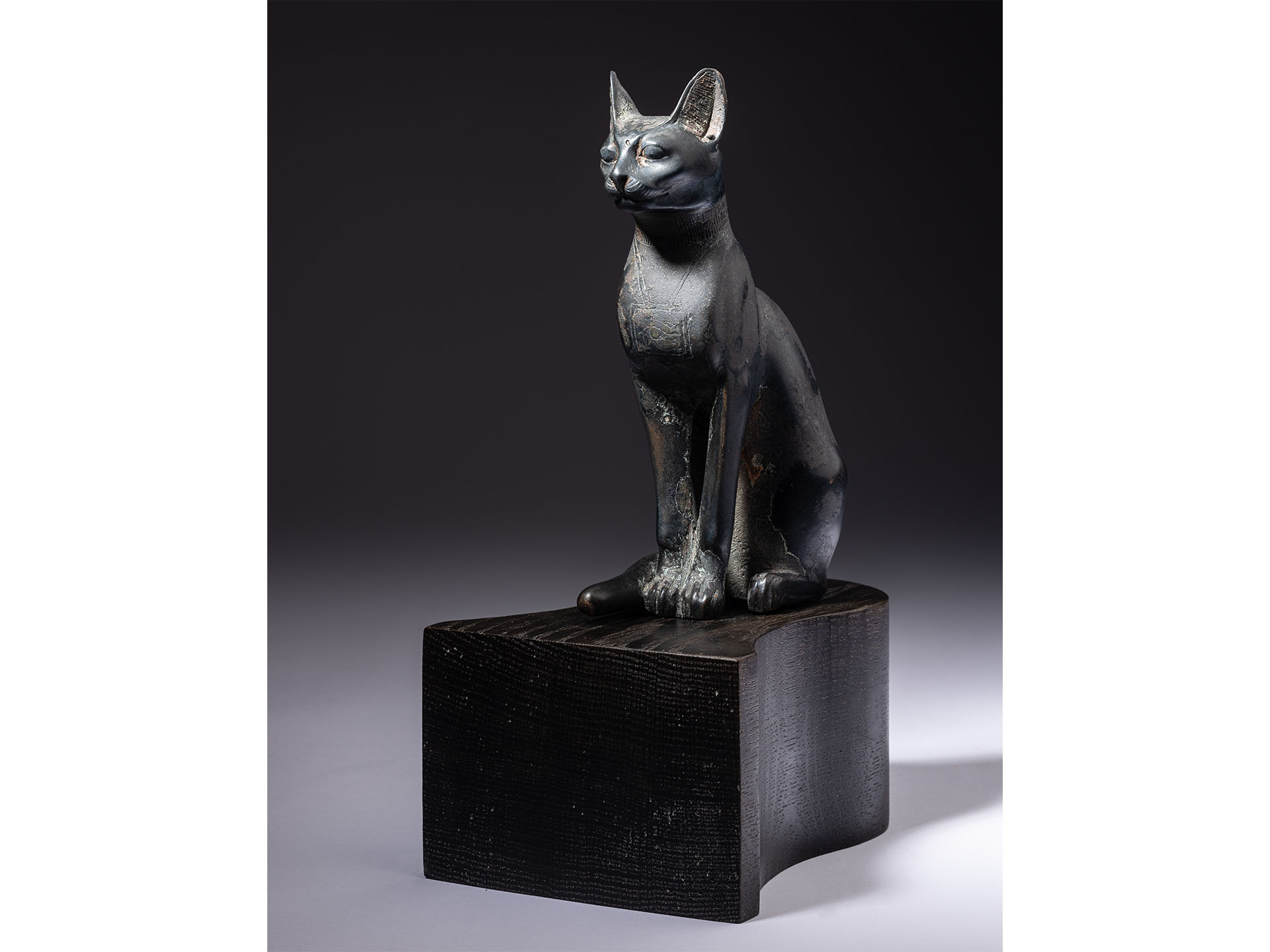 An Egyptian Bronze Cat